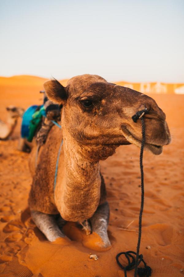 Sanmao Desert Luxury Camp Мерзуга Экстерьер фото